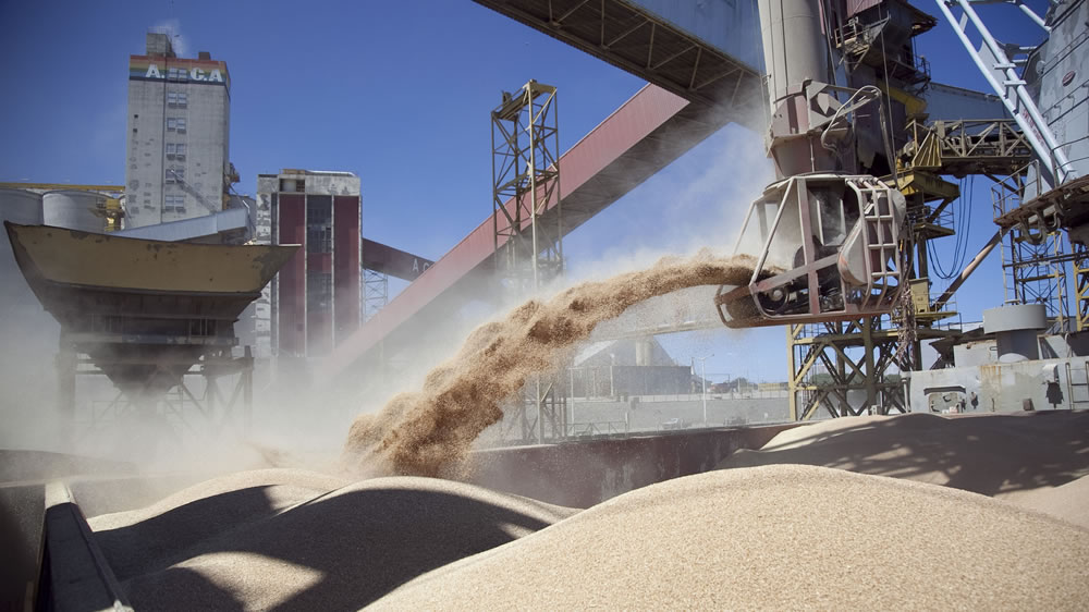 Agroexportadoras liquidaron más de USD 1600 millonesliquidaron más de USD 1600 millones