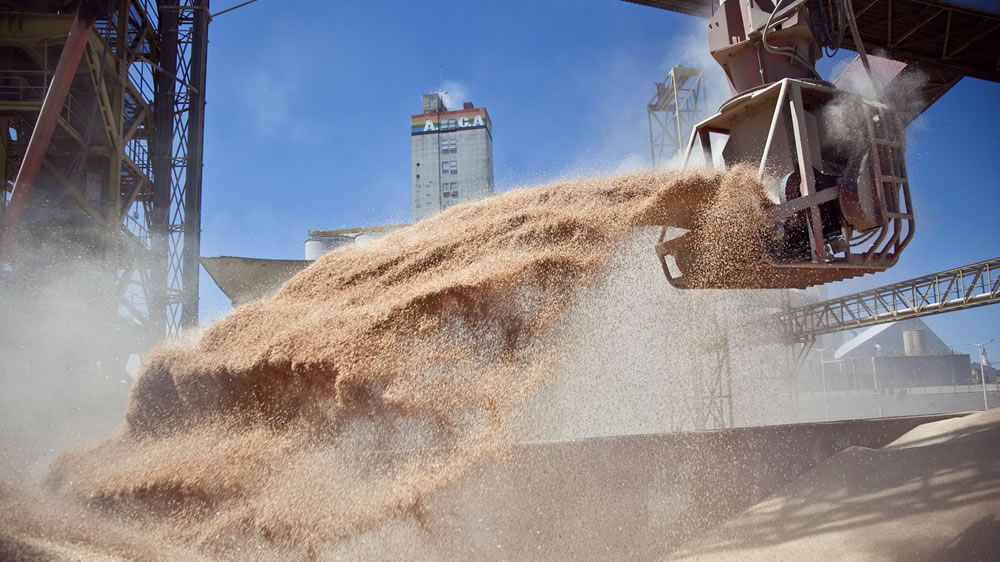 Con cifras récord, por qué la caída de grandes operadores terminó siendo negocio para las cooperativas del agro