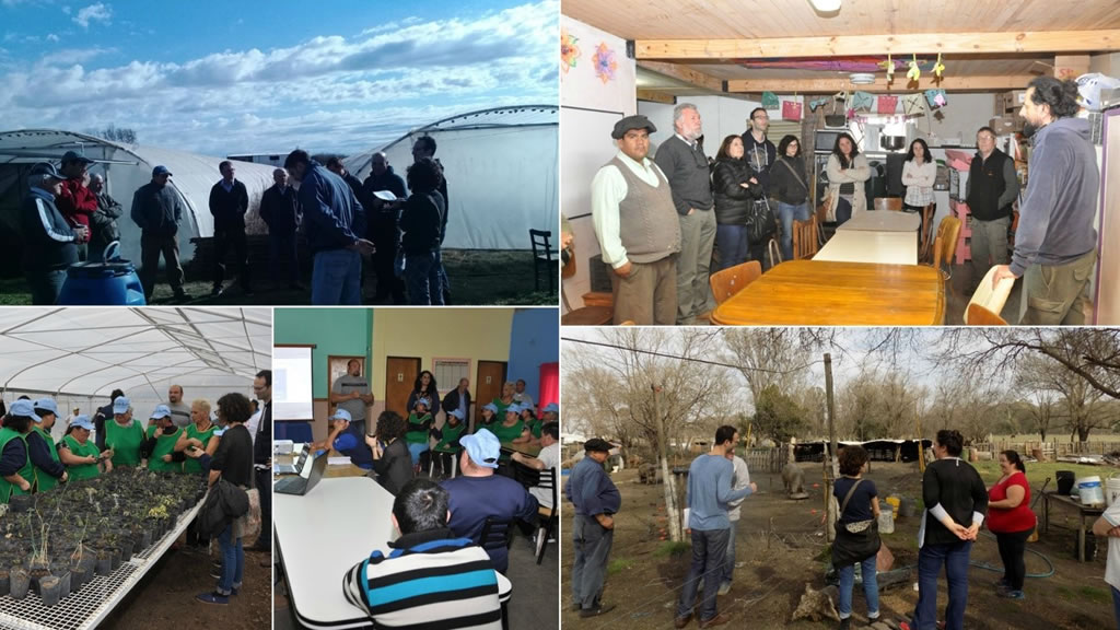 Monitoreos de la Coordinación de Extensión de INTA a Proyectos Especiales de ProHuerta en La Pampa