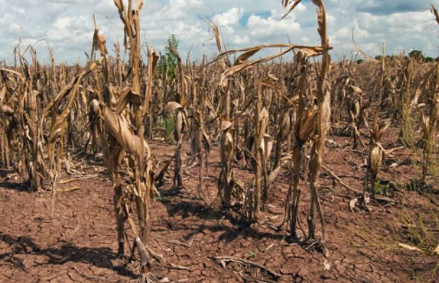 Distrito 8 – La Pampa- Federación Agraria Argentina preocupa la falta de lluvias en extenso territorio pampeano