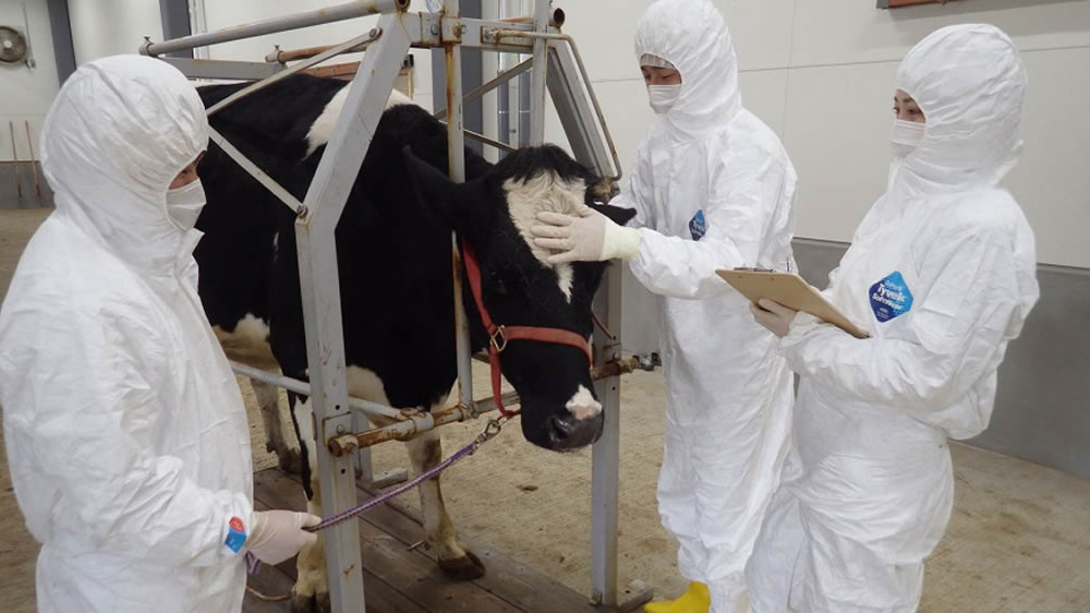 Bioseguridad en el vacuno de leche