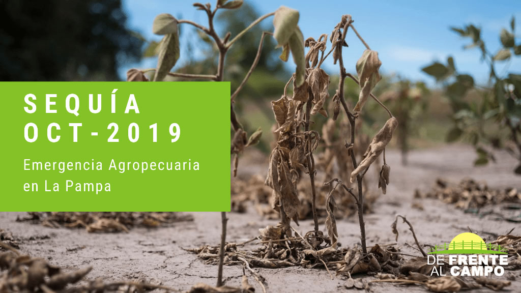 Emergencia Agropecuaria en la provincia de La Pampa – Sequía – Octubre 2019