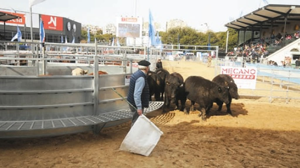 Giménez Zapiola, la voz del bienestar animal