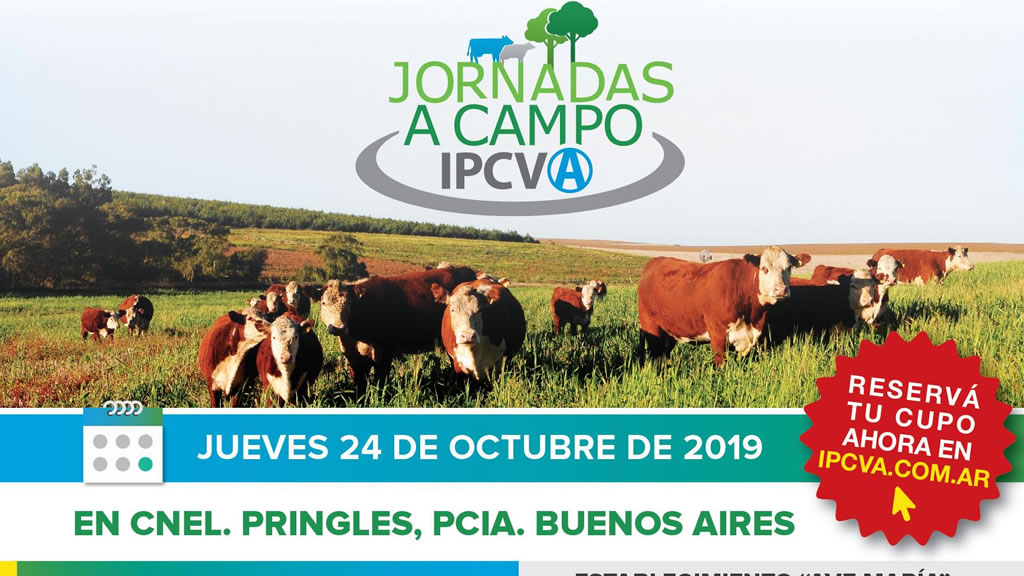 24 de octubre: Jornada a campo del IPCVA en Coronel Pringles