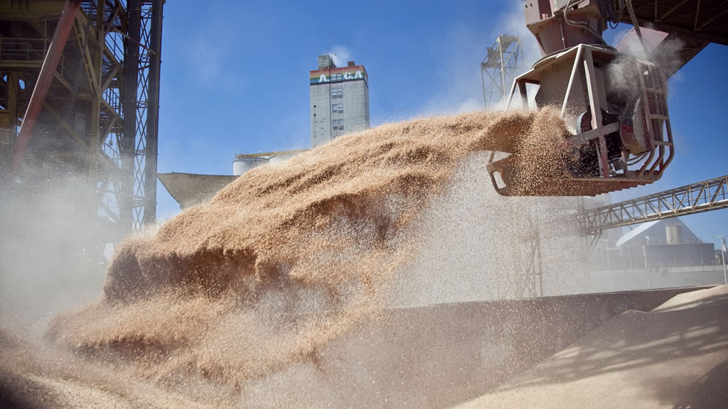 Abre la inscripción para las empresas que quieran exportar maíz, sorgo, soja y cebada a China