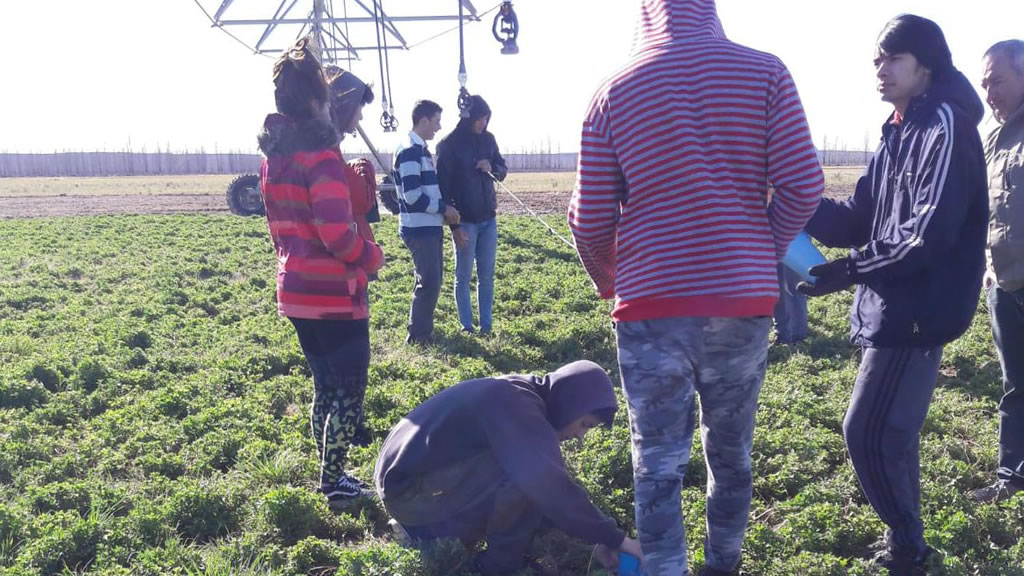 Capacitación en riego destinada a alumnos de la escuela agrotécnica de 25 de Mayo