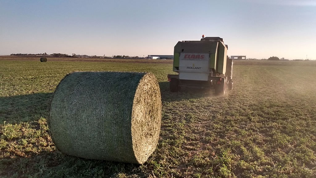 Lanzan una rotoenfardadora compacta para producción ganadera de baja escala