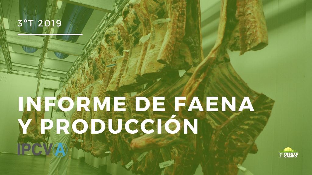 Informe de faena y producción –  3er Trimestre