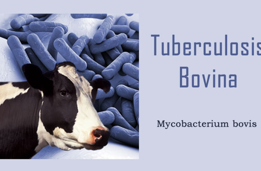 Control de la Tuberculosis Bovina. Un desafio posible