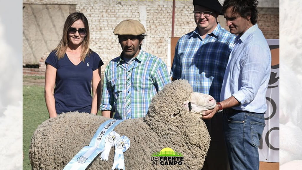 Se realizó la Expo Ovino de Alpachiri y estuvieron presentes cabañas de todo el país