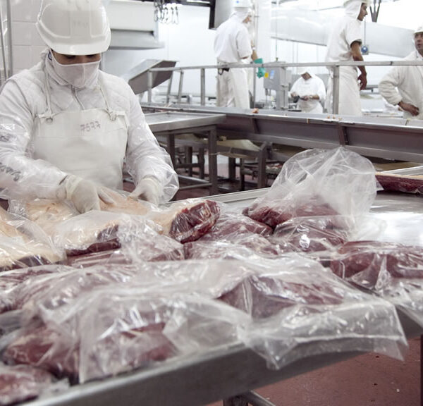 Señal de Israel: avanza la exportación de carne bovina y ovina con hueso kosher desde la Argentina