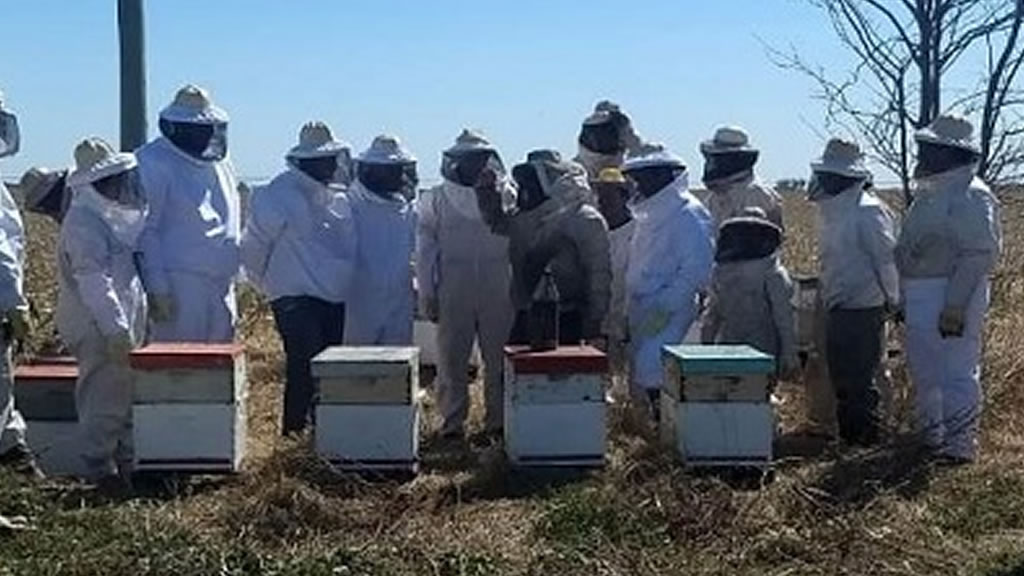 Finalizó el curso de formación de apicultores