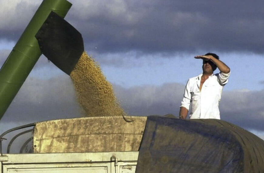 Temor en la Mesa de las Carnes de Argentina ante la intervención del mercado de cereales hecha por el gobierno