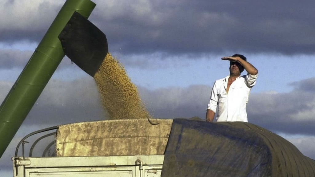 Temor en la Mesa de las Carnes de Argentina ante la intervención del mercado de cereales hecha por el gobierno