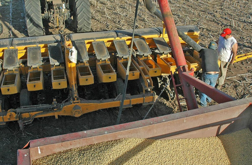 Qué hacer con los pesos agrícolas y un adelanto para la campaña 2021/22: ¿se va a sembrar?
