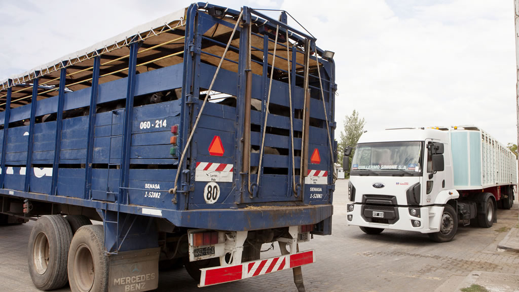Transportistas, duros contra una medida del Gobierno: “Es una trompada a la seguridad vial”
