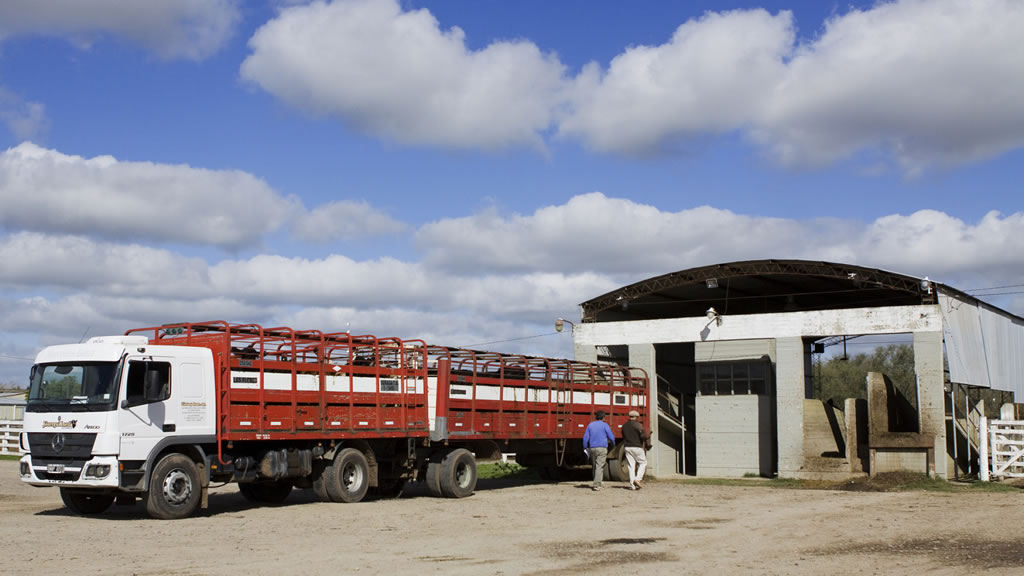 La Federación Gremial del Personal de la Industria de la Carne y sus Derivados de Argentina rechaza el incremento de las exportaciones de ganado vivo