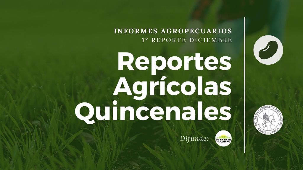 1° Reporte Diciembre 2019 – Reportes Agrícolas Quincenales 37