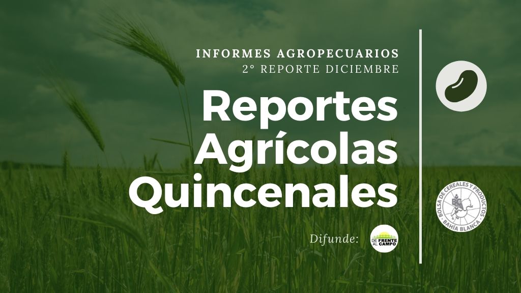 2° Reporte Diciembre 2019 – Reportes Agrícolas Quincenales 38