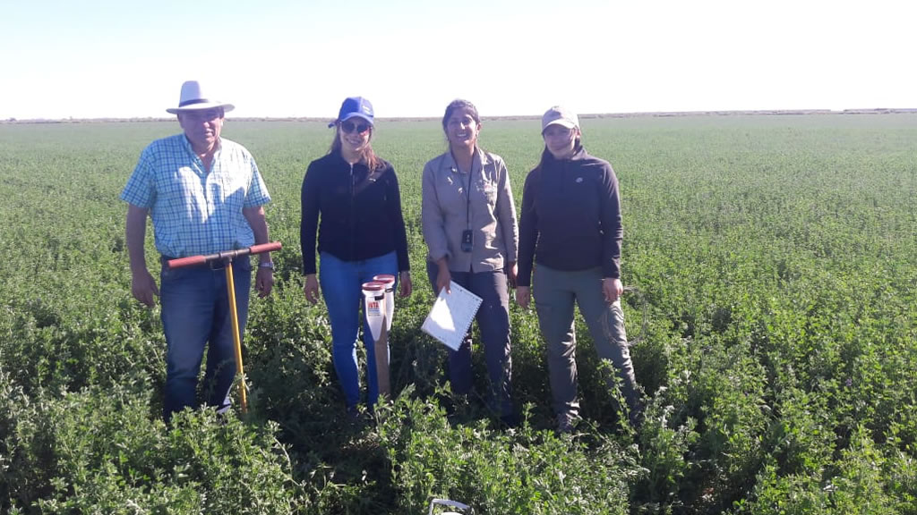 Experiencia de formación profesional de alumnas de la Facultad de Agronomía