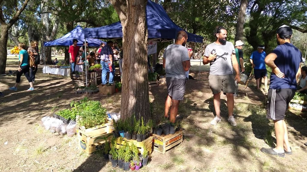 La Solidaridad de los Huerteros: la Fiesta del Plantín en Santa Rosa