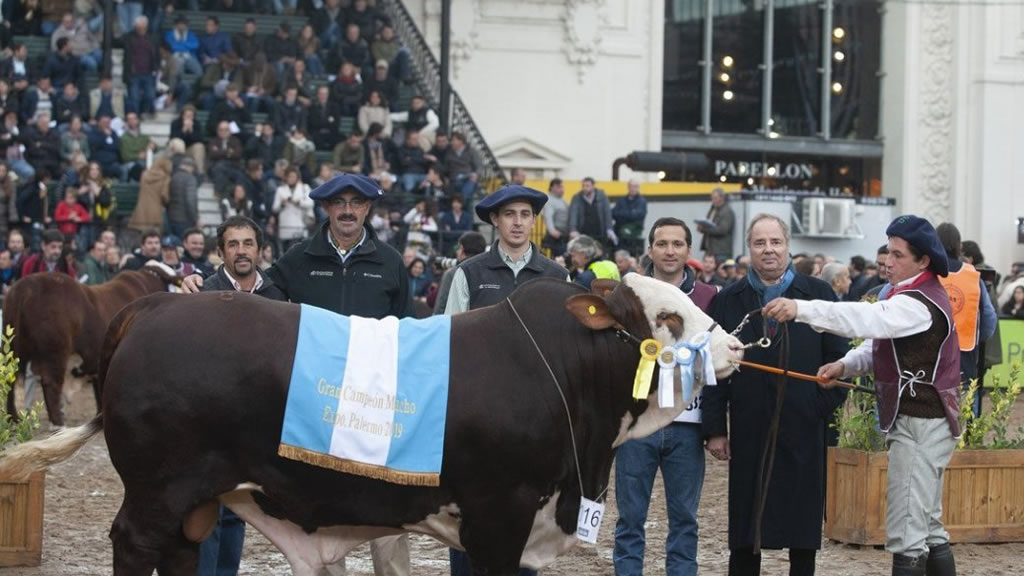 Eligieron al mejor toro del mundo, y el criador es de Gualeguaychú