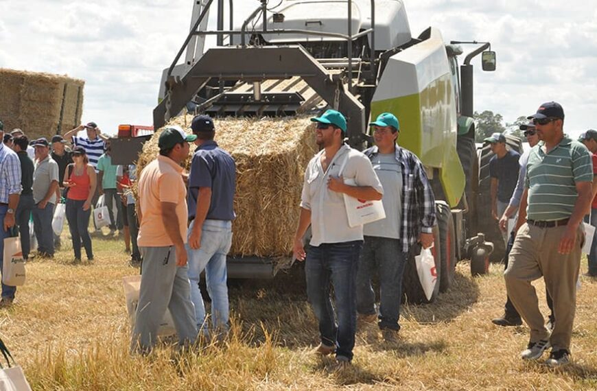 ¿Cuánta materia seca contienen las forrajeras templadas?