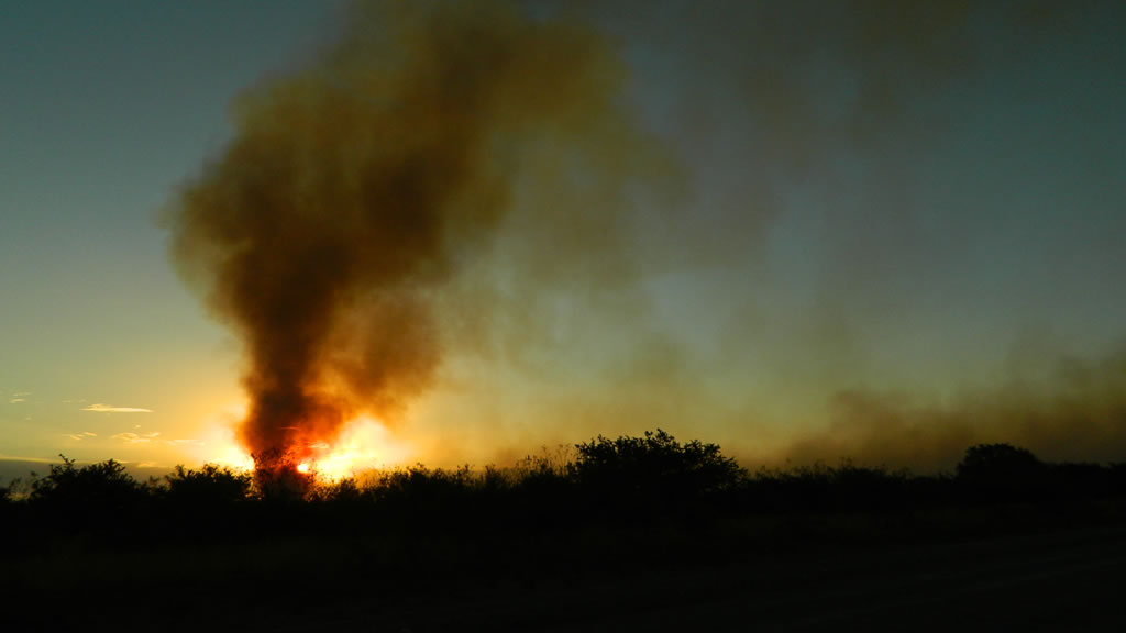 Con el fuego dentro del campo