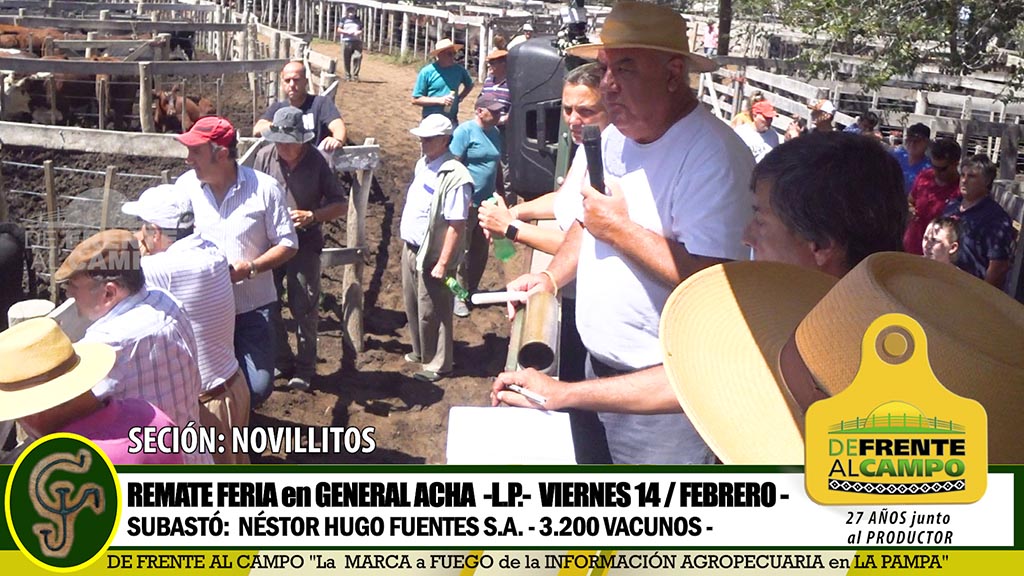 General Acha: Remate de Novillos -Novillitos – Terneros – Vie./14/Febrero-