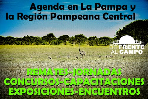 Agenda: Remates, Jornadas, Concursos en la región