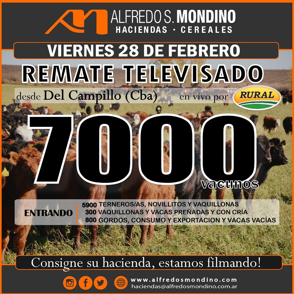 7.000 vacunos: Mondino anunció su televisado para el Viernes 28 de Febrero