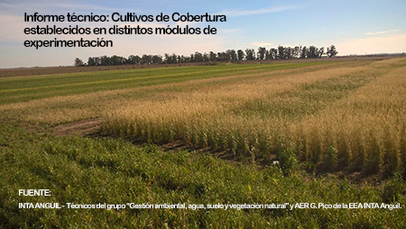 Estado de cultivos: INTA realizó relevamiento en la zona norte de La Pampa