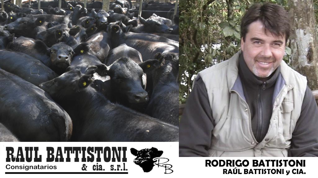 Entrevista radial: Rodrigo Battistoni anticipó remate con 1.300 vacunos para el Jueves 27