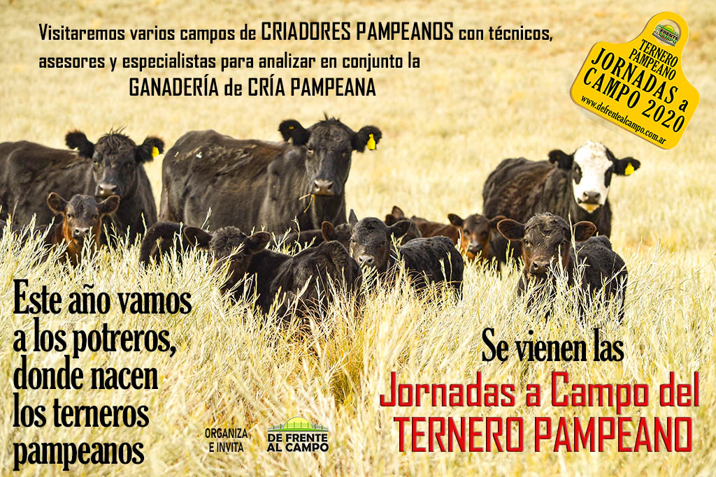 Encuentros productivos: Jornadas a Campo del Ternero Pampeano