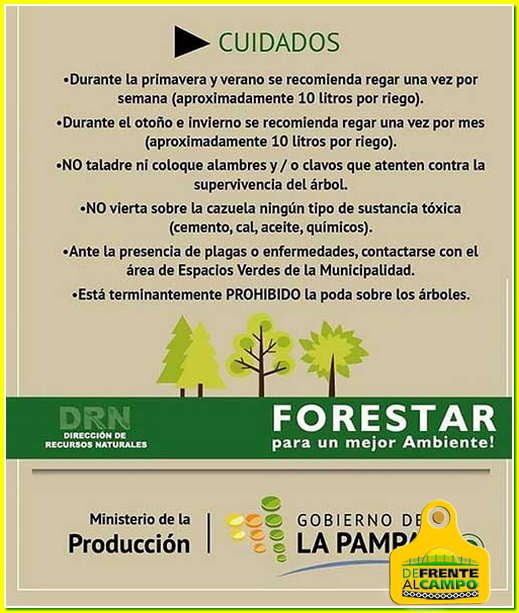 Cuidados: Consejos para el  mantenimiento de las forestaciones
