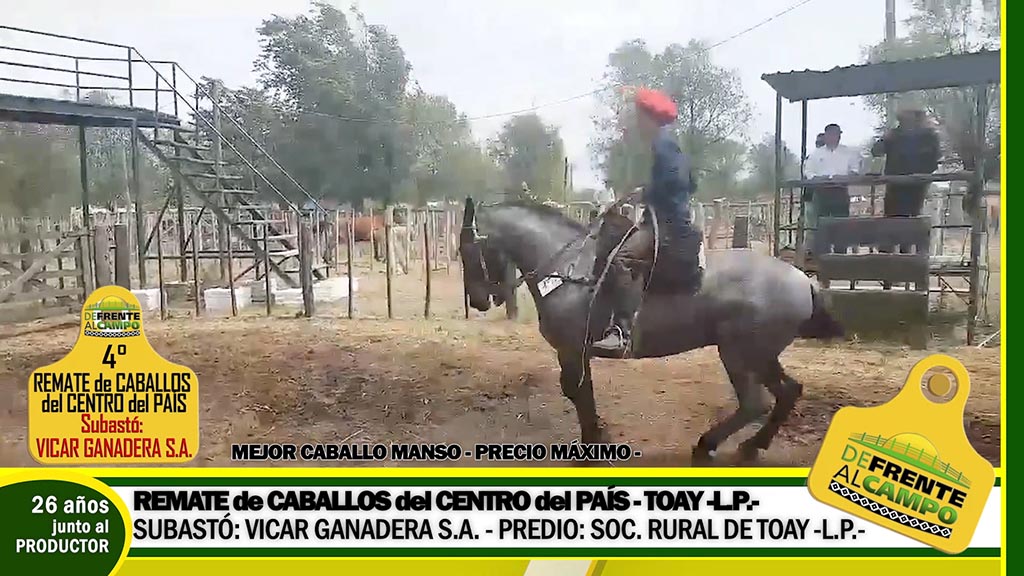 Imágenes: Remate Caballos 2019 – Toay -L.P.-