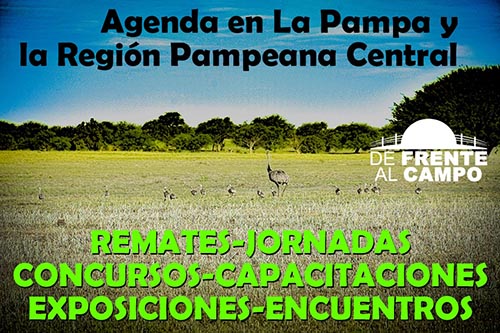 Agenda: Remates, Jornadas, Concursos en la región -del 10 al 14 / Febrero.