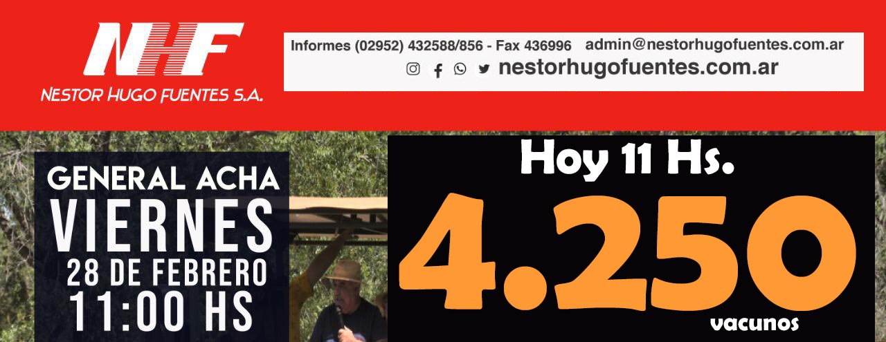 N.H.F. SA: Ya tiene 4.250 vacunos para subastar el Viernes 28