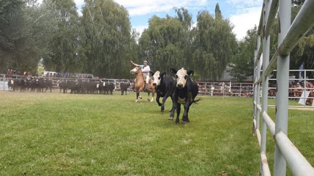 Exitosa 78º edición de la Expo Rural del Neuquén