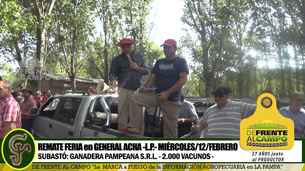 General Acha: Ganadera Pampeana remató 2.000 vacunos – Miércoles/12/Febrero-