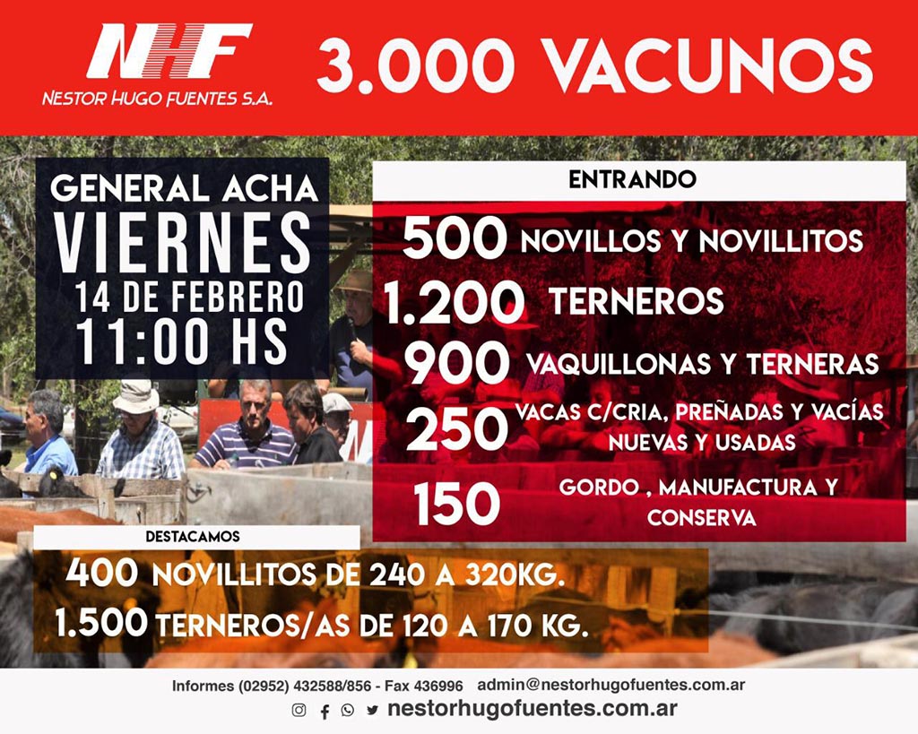 Entrevista radial: Néstor Fuentes tendrá 3.000 vacunos el Viernes 14 de Febrero en Acha