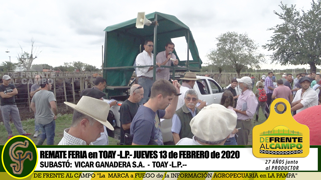 Toay: Vicar Ganadera S.A subastó 1.100 vacunos – Jueves 13 de Febrero