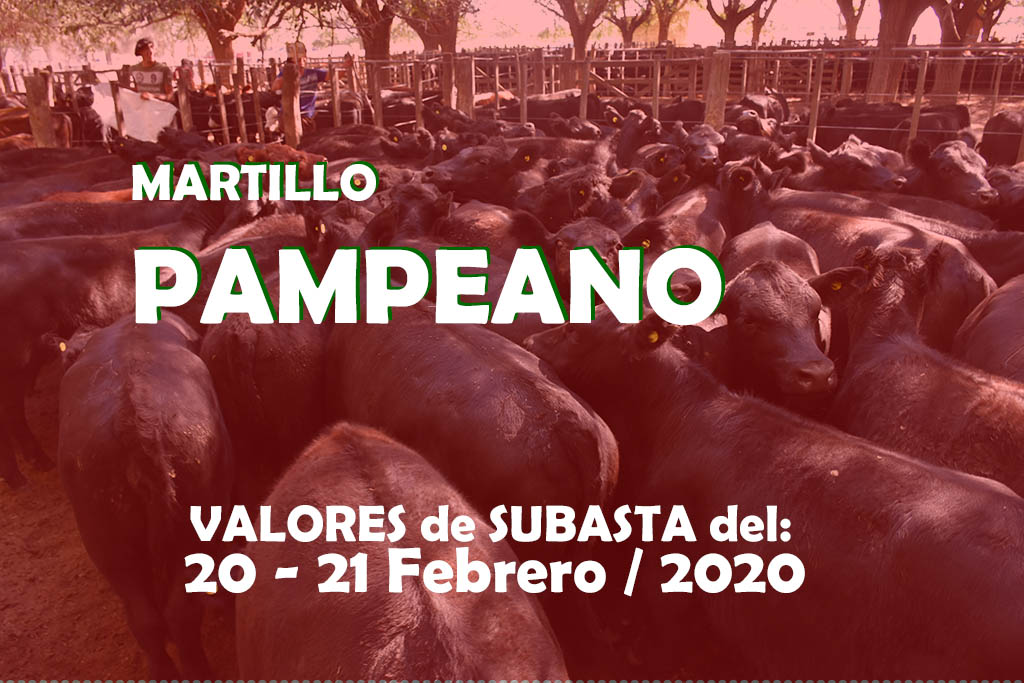 Martillo Pampeano: Valores de los remates pampeanos del 20 y 21 de Febrero