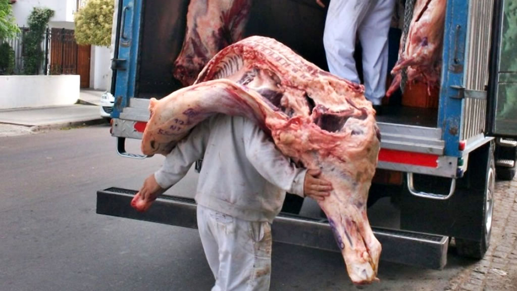 El fin de la media res divide al sector de la carne: matarifes se oponen y frigoríficos exportadores apoyan