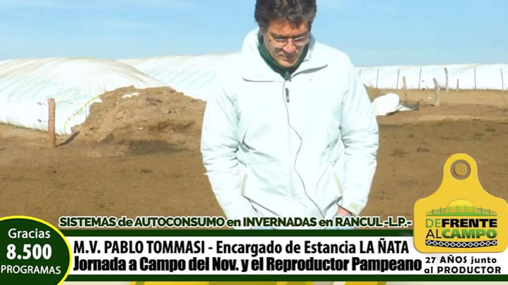 Sistemas de autoconsumo en invernadas en Rancul – La Pampa