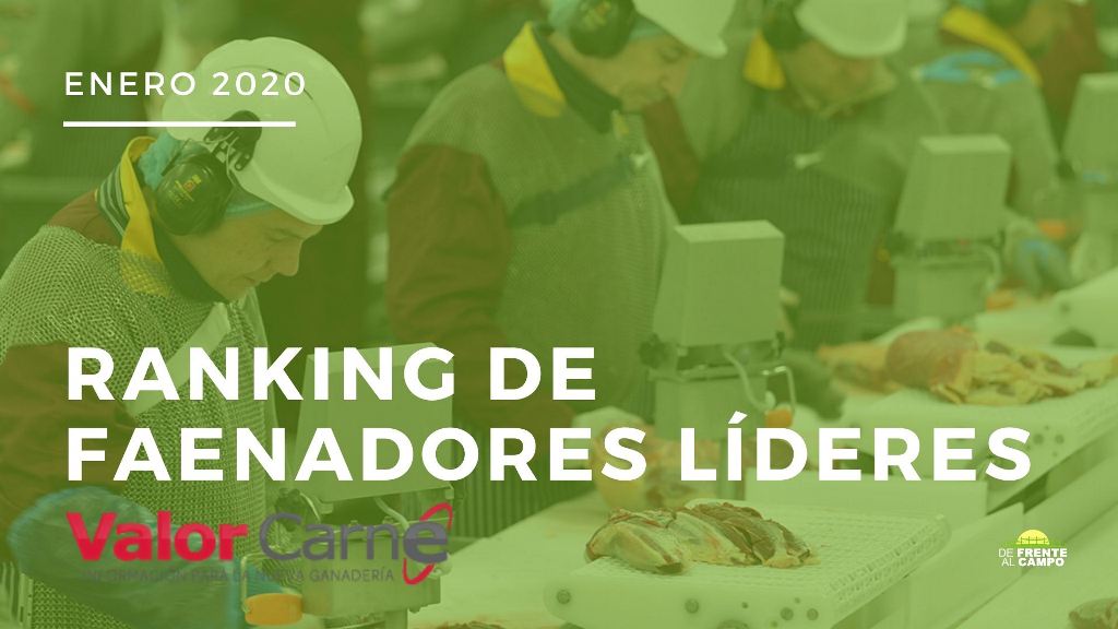 El Grupo Beltrán comenzó el año liderando la faena