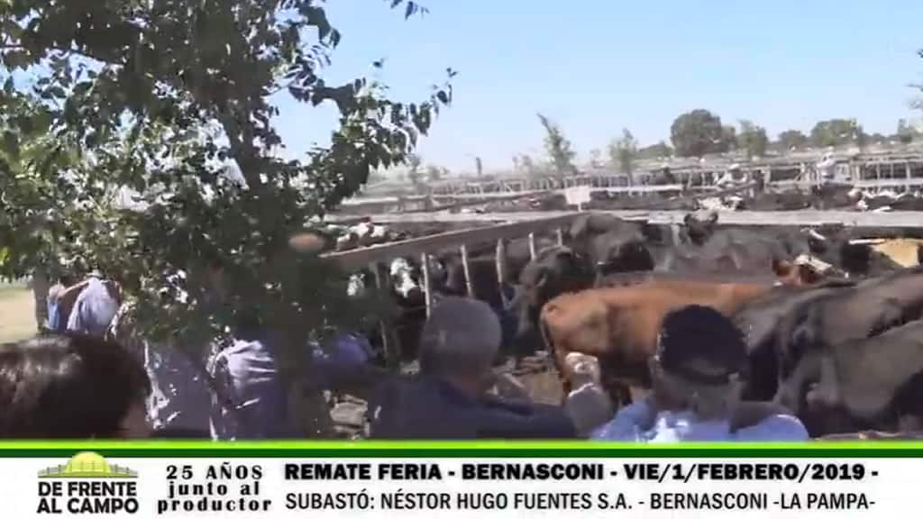 Remate Feria de Néstor Hugo Fuentes en Bernasconi – La Pampa