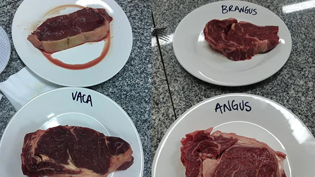 La Escuela de Sommeliers de Carne abrió su inscripción 2020