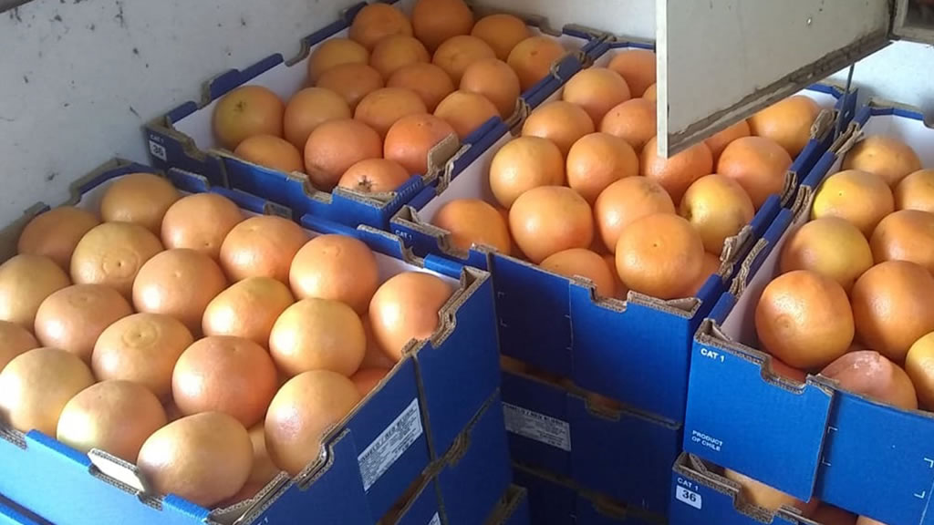 El Senasa donó 360 kg de pomelos en La Pampa
