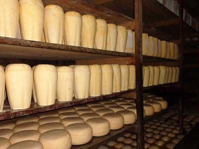 Febrero: El mercado del queso cierra los valores con un alza del 10 %